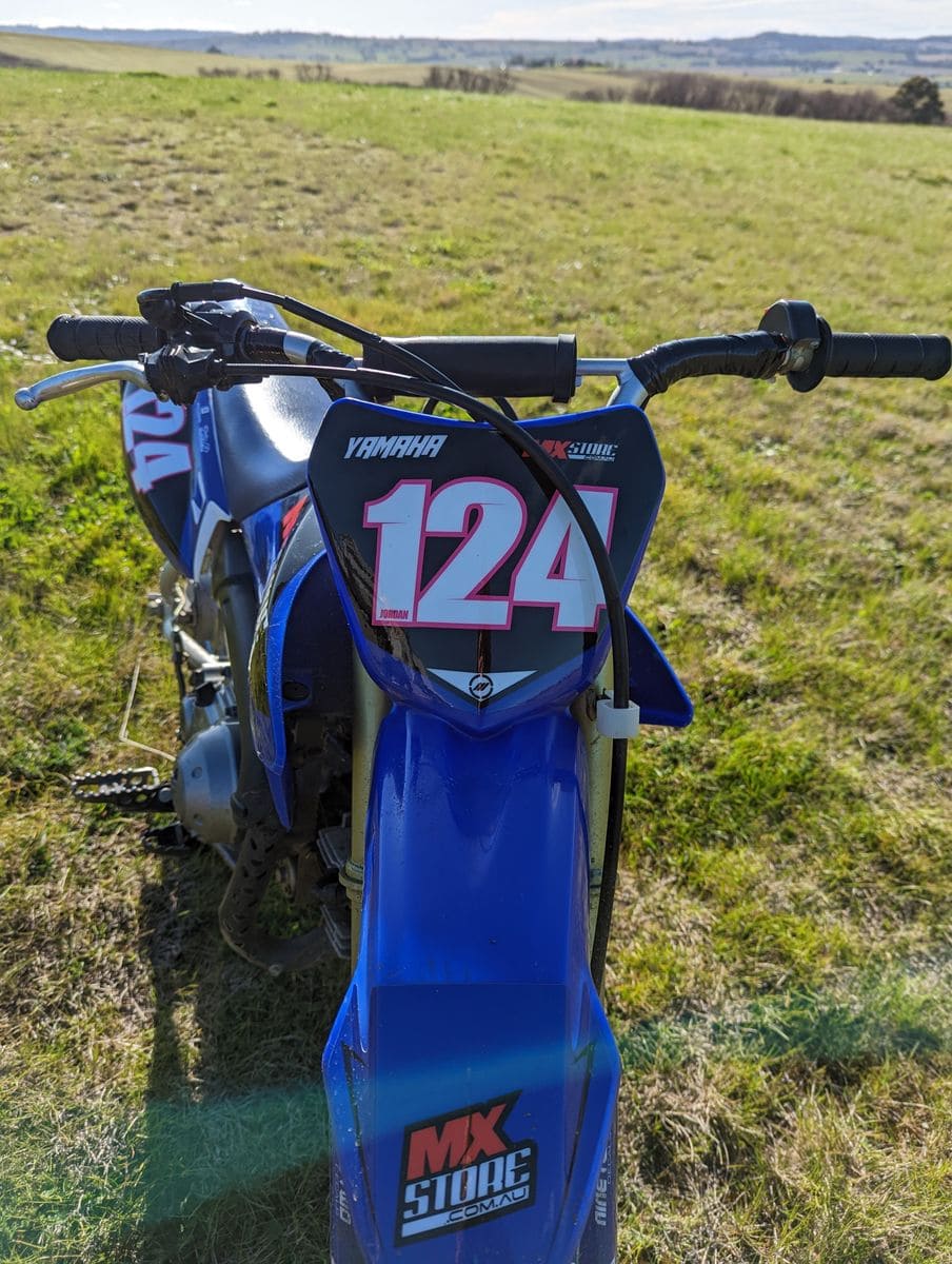 Contour Cut Numbers (3 Pack) Rival Ink Design Co